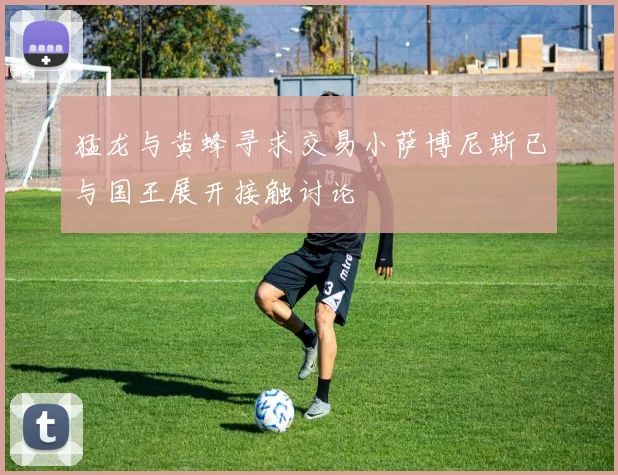 猛龙与黄蜂寻求交易小萨博尼斯已与国王展开接触讨论