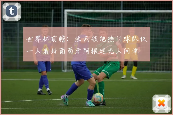 世界杯前瞻：法西领跑热门球队仅一人看好葡萄牙阿根廷无人问津